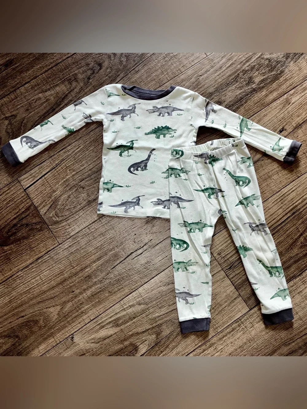 Burt's Bees Green and Gray Dinosaur Pajama Set